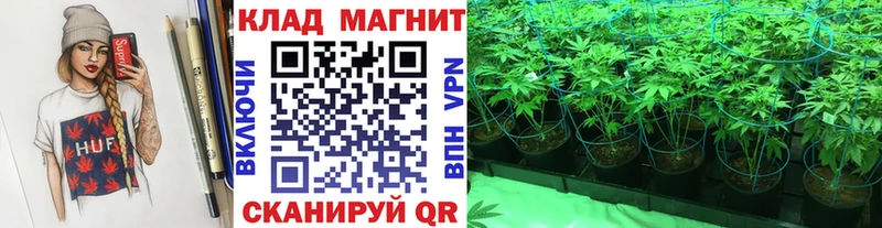 Купить Галлюциногенные грибы  Cocaine  ГАШИШ  Меф мяу мяу  МАРИХУАНА  A-PVP  Новодвинск