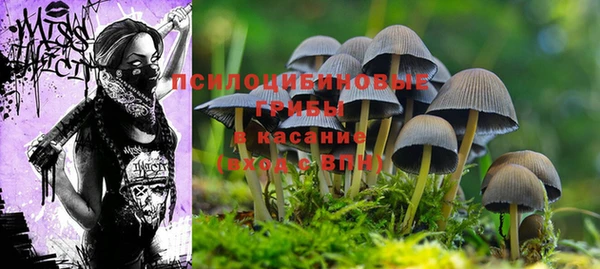 a pvp Зеленодольск