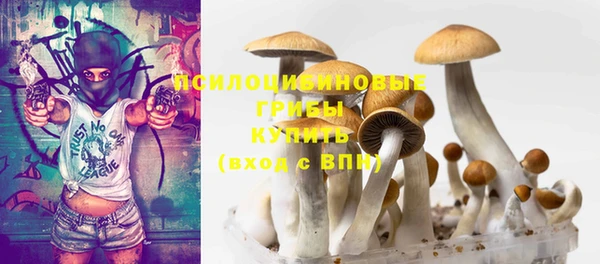 a pvp Зеленодольск