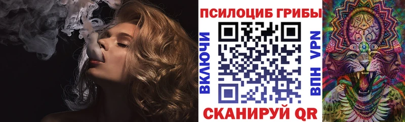 Псилоцибиновые грибы ЛСД  Купить закладки  Новодвинск 